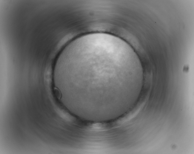 X0000102410064200808152014