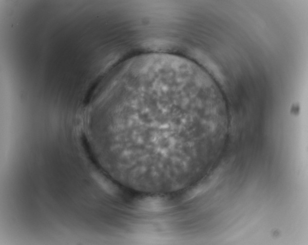 X0000102410065200808152014