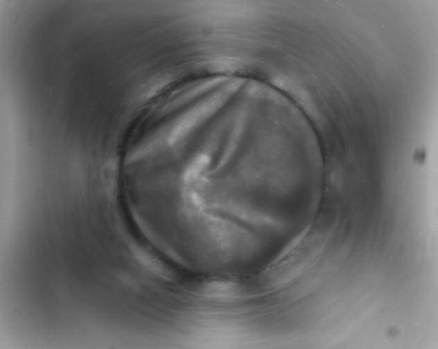 X0000102410066200808152014