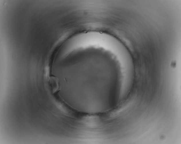 X0000102410067200808152014