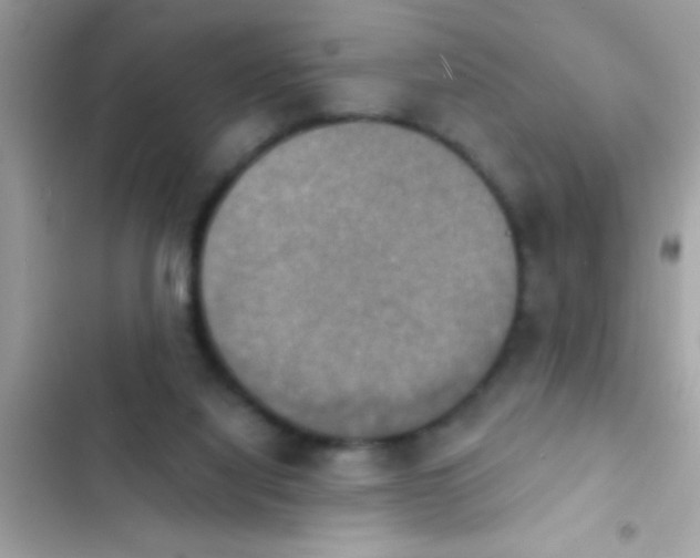 X0000102410068200808152014