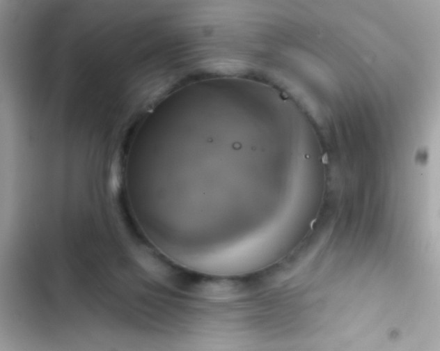 X0000102410069200808152014