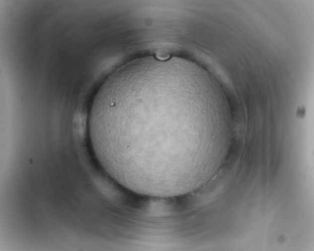 X0000102410070200808152014