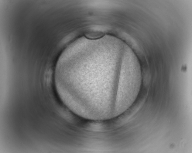 X0000102410071200808152014