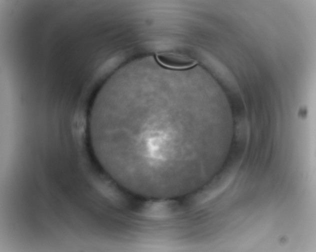 X0000102410072200808152014