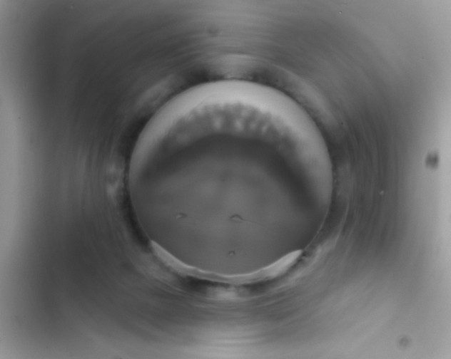 X0000102410073200808152014