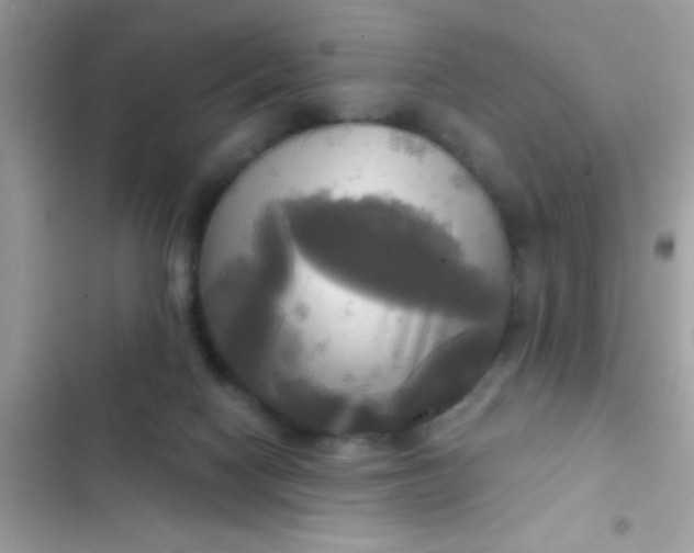 X0000102410074200808152014