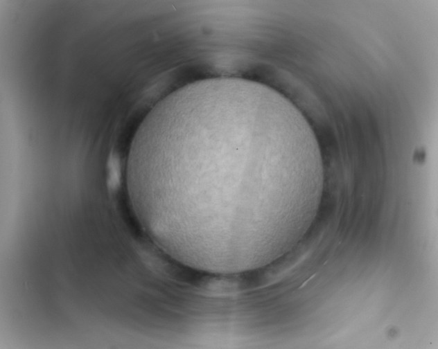 X0000102410075200808152014