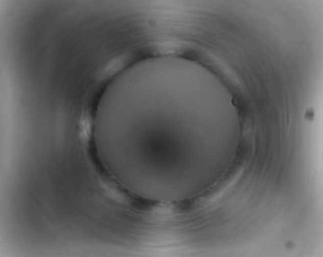 X0000102410076200808152014