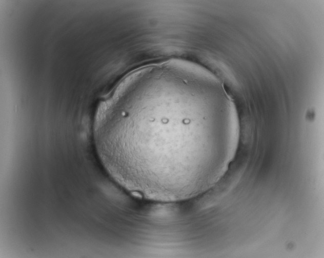 X0000102410077200808152014