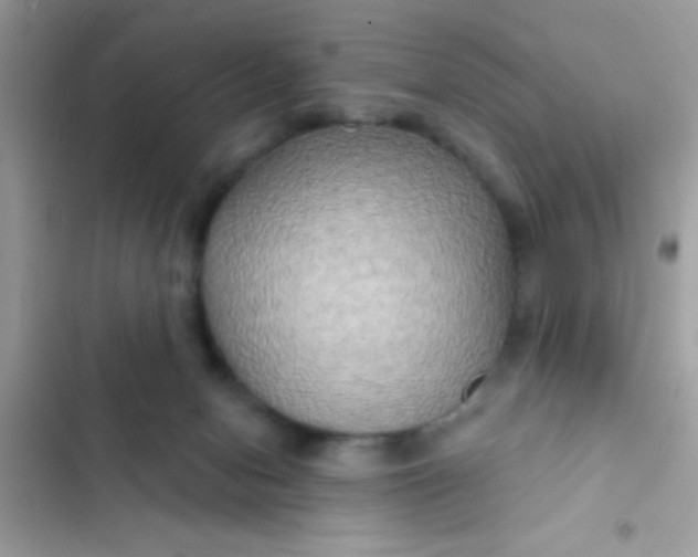 X0000102410078200808152015