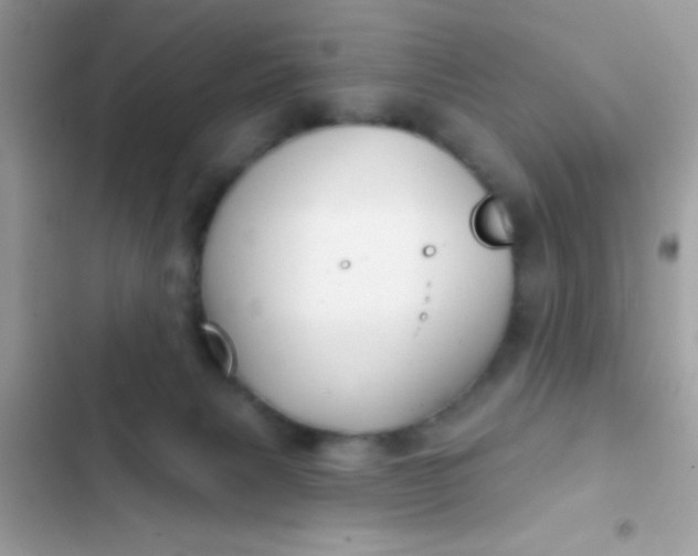 X0000102410079200808152015