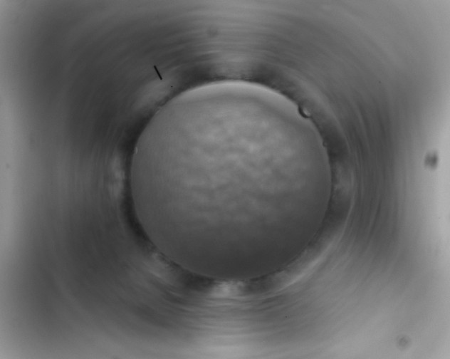 X0000102410080200808152015