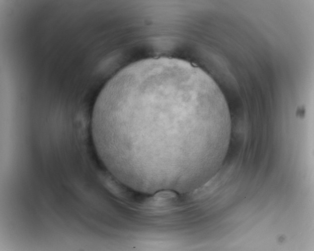 X0000102410082200808152015