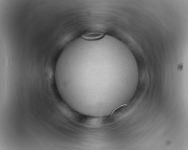 X0000102410084200808152015