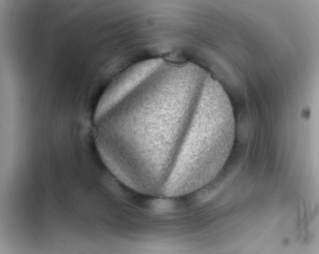 X0000102410085200808152015