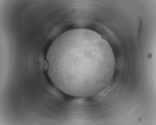 X0000102410086200808152015