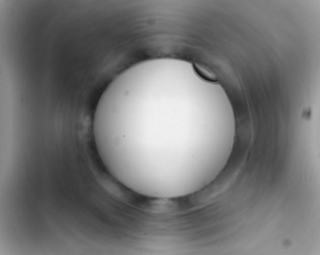 X0000102410087200808152015