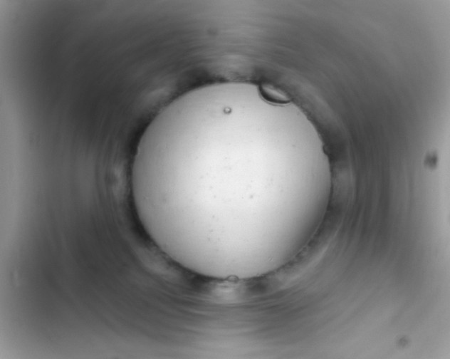 X0000102410088200808152015