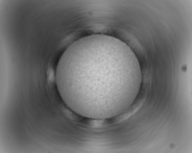 X0000102410089200808152015