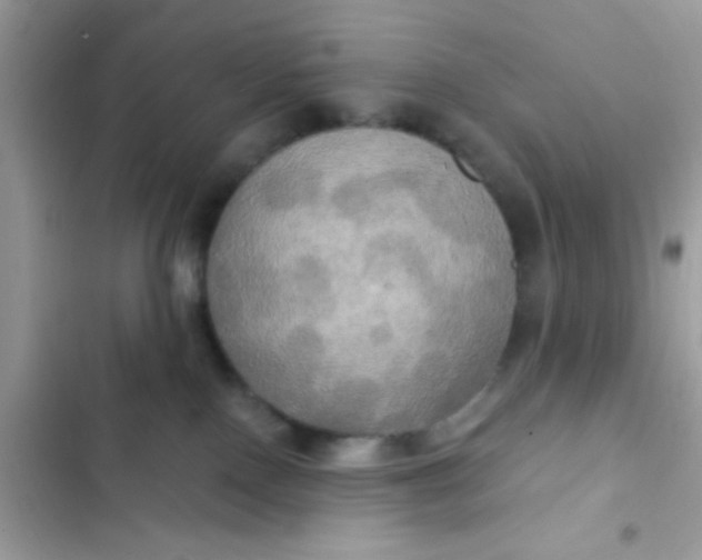 X0000102410090200808152015