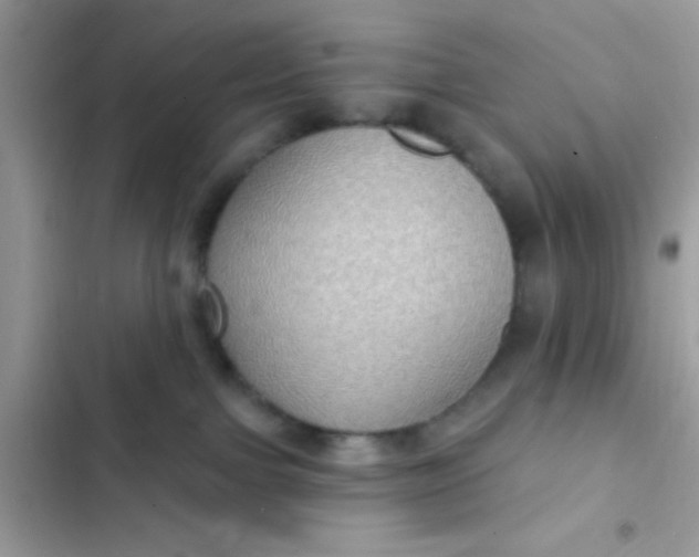 X0000102410091200808152015