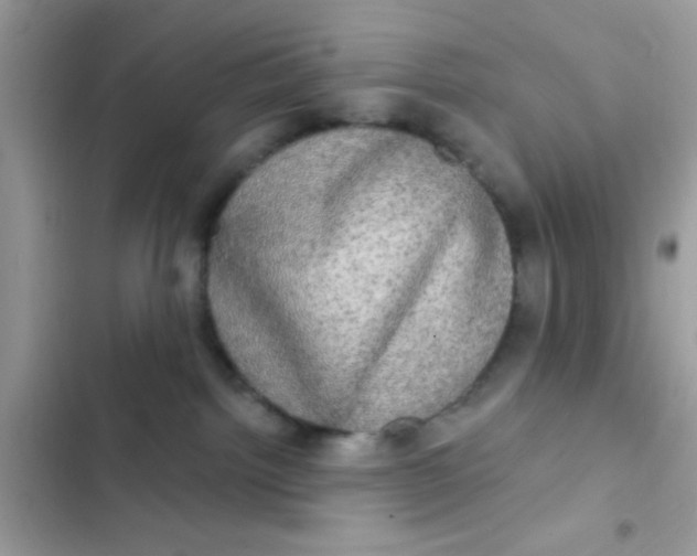 X0000102410092200808152015