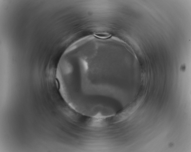 X0000102410093200808152015