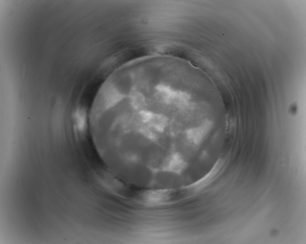 X0000102410094200808152015