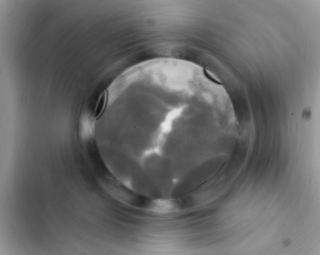 X0000102410095200808152015