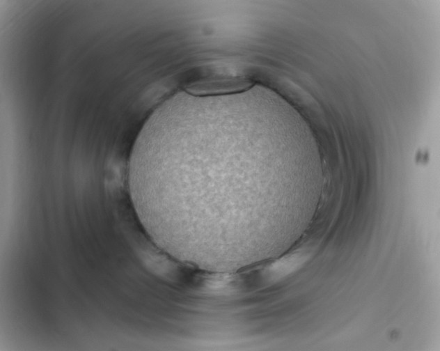 X0000102410096200808152015