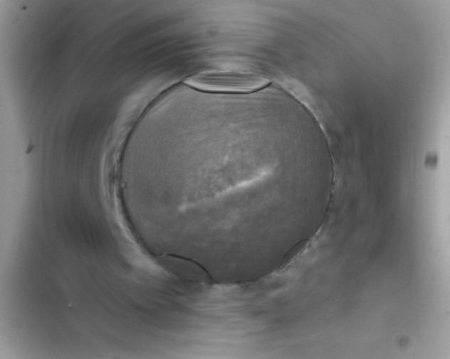 X0000102410097200808152014