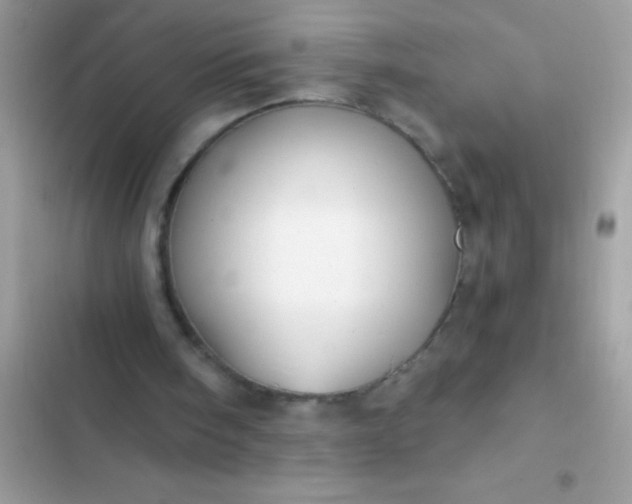 X0000102410098200808152014