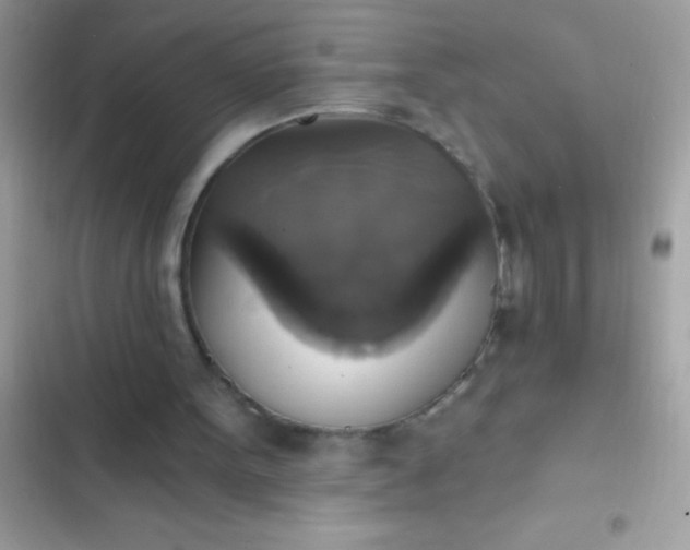 X0000102410099200808152014