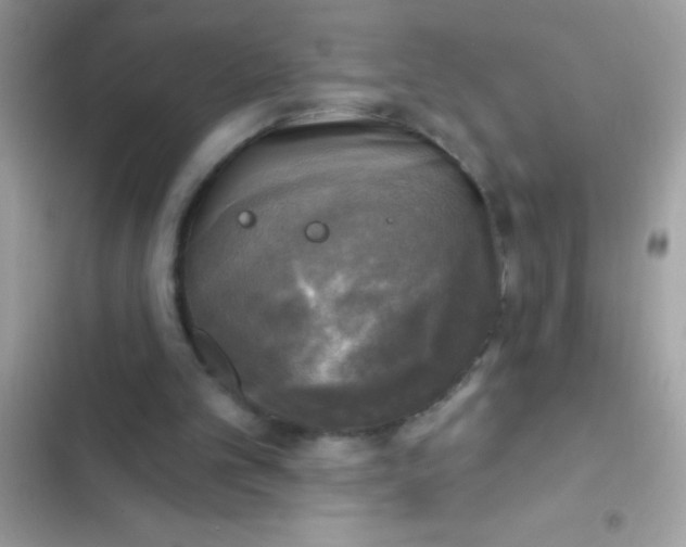 X0000102410101200808152014