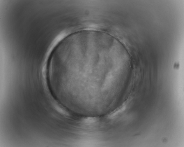 X0000102410102200808152014