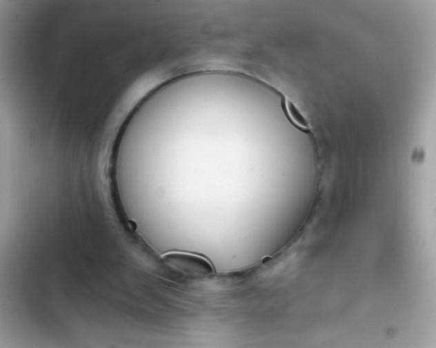 X0000102410103200808152014