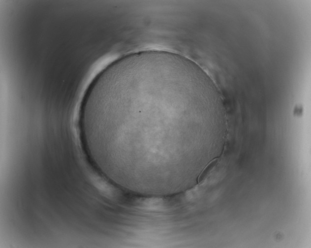 X0000102410104200808152014