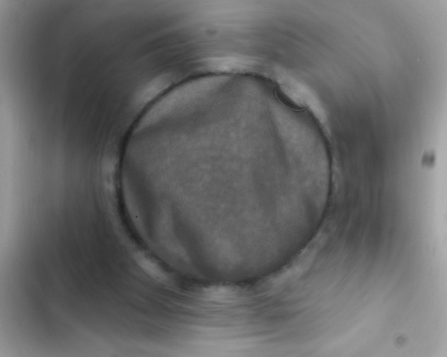 X0000102410105200808152014