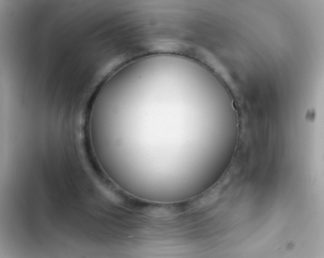 X0000102410106200808152014