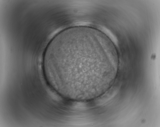 X0000102410107200808152014