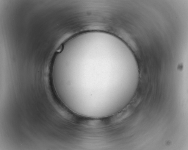 X0000102410108200808152014