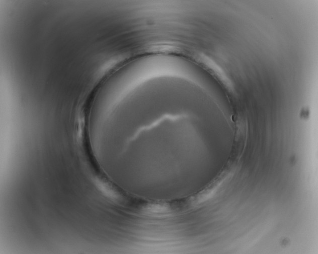 X0000102410110200808152014