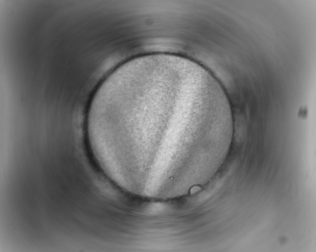 X0000102410111200808152014