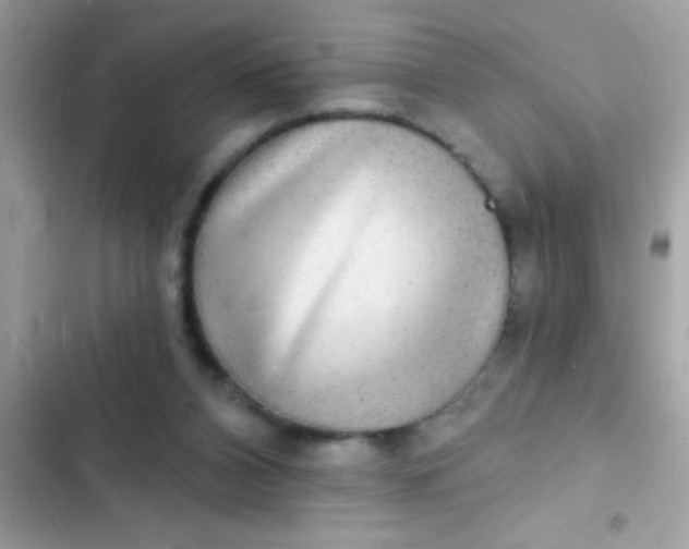 X0000102410112200808152014