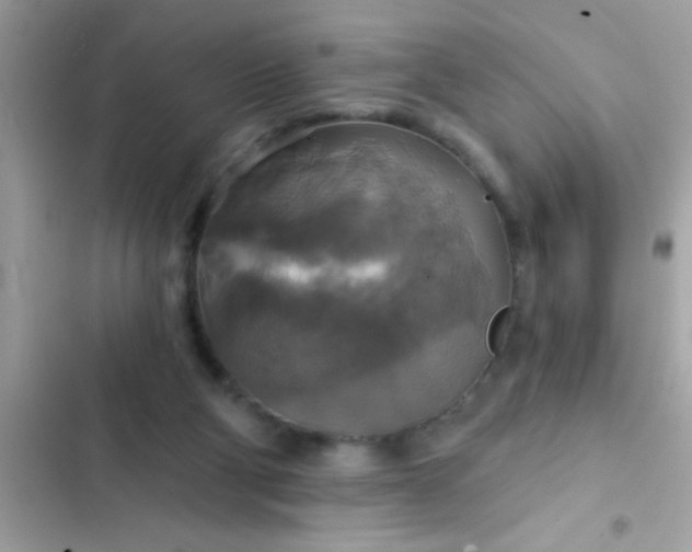 X0000102410114200808152014