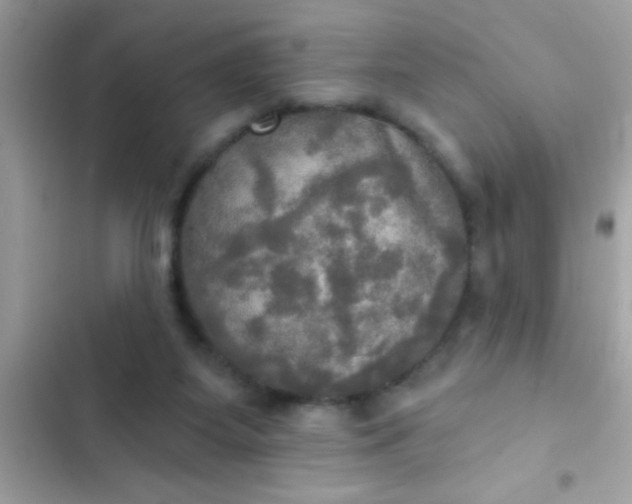 X0000102410115200808152014