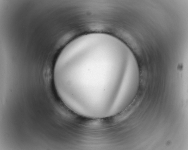 X0000102410116200808152014