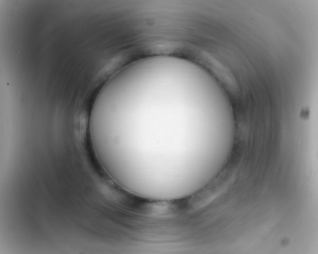 X0000102410118200808152014