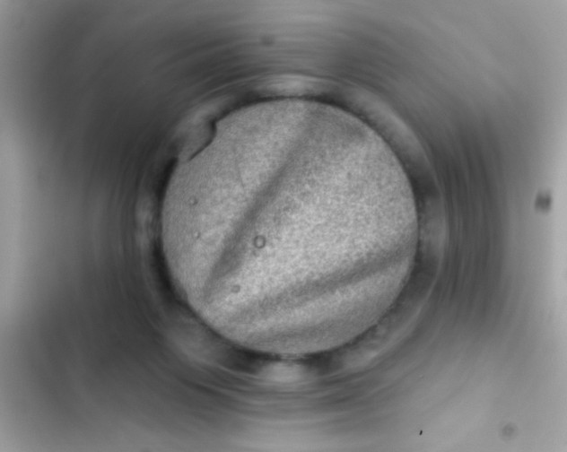 X0000102410119200808152014